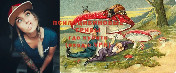 трава Елабуга